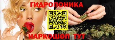 ALPHA-PVP Кандалакша