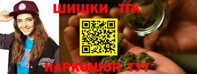 мдпв Камышлов