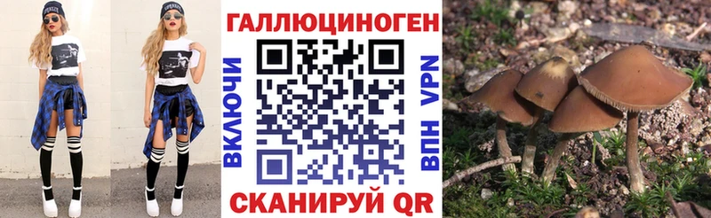 Галлюциногенные грибы ЛСД  купить наркотик  Курчатов 