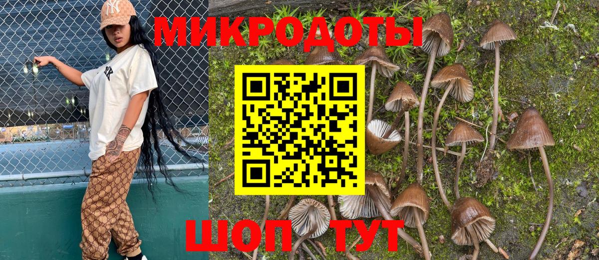 Галлюциногенные грибы MAGIC MUSHROOMS Курчатов