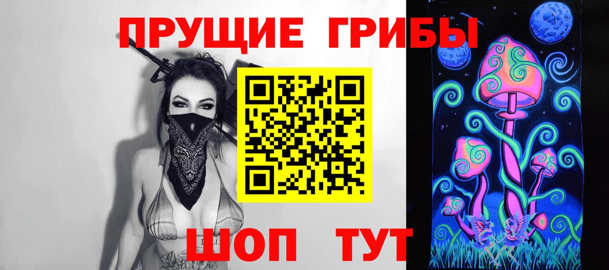 Галлюциногенные грибы Cubensis  Псилоцибиновые грибы прущие грибы  Курчатов  Вход с VPN 