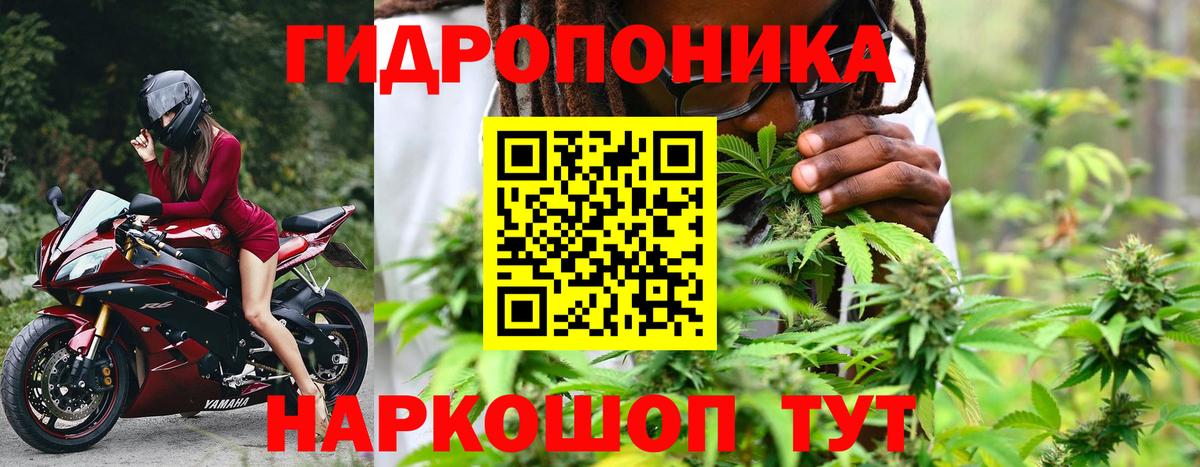 Бошки марихуана SATIVA & INDICA Курчатов