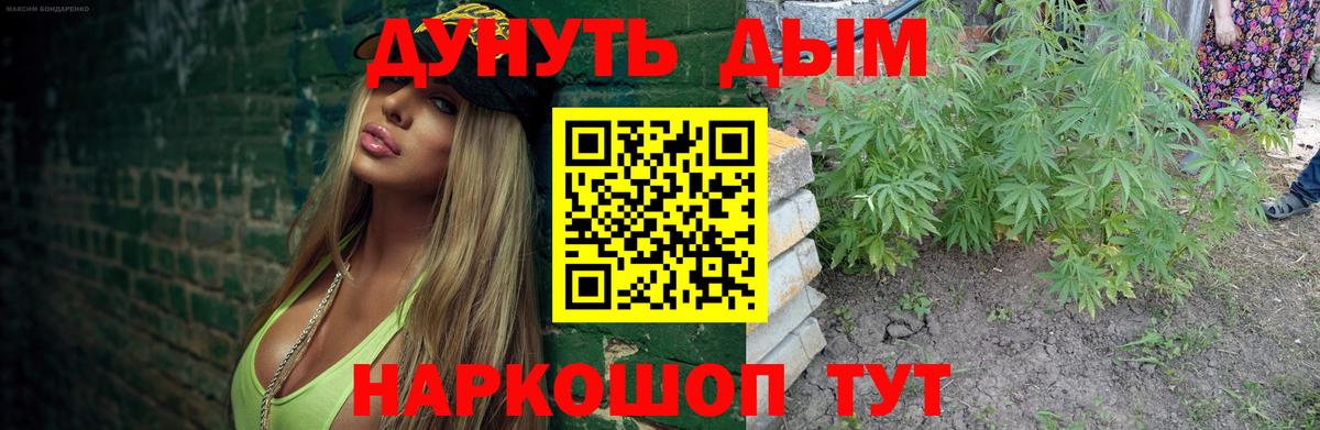 Шишки марихуана семена  Вход с VPN  Курчатов  Конопля план  Каннабис тримм 